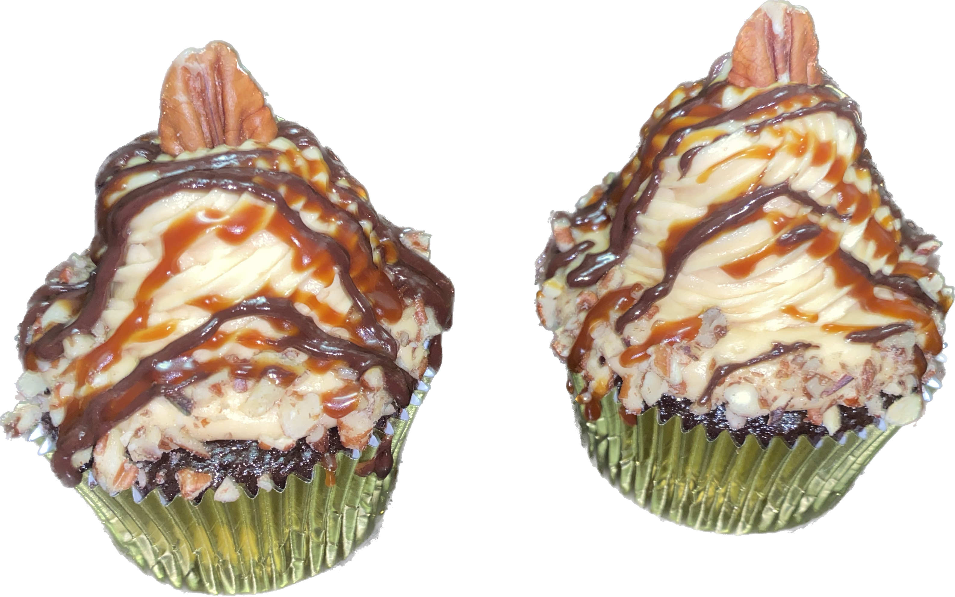 Turtle Pecan
